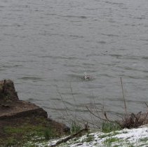 Taps, Salute and Wreath Laying behind library/museum.